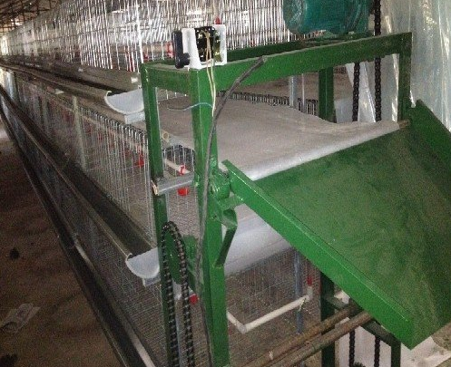 蛋鸡装备传送带式清粪机常见的这些问题你都知道吗？？？？？？