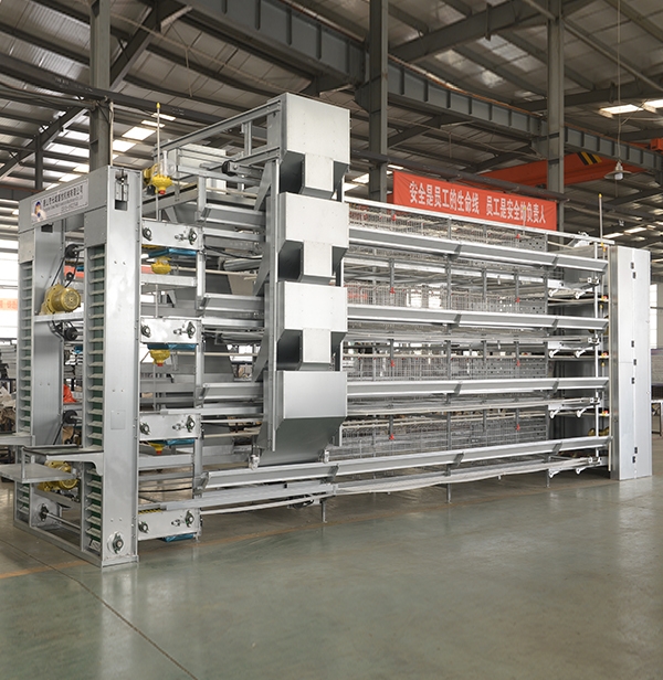 层叠式蛋鸡装备