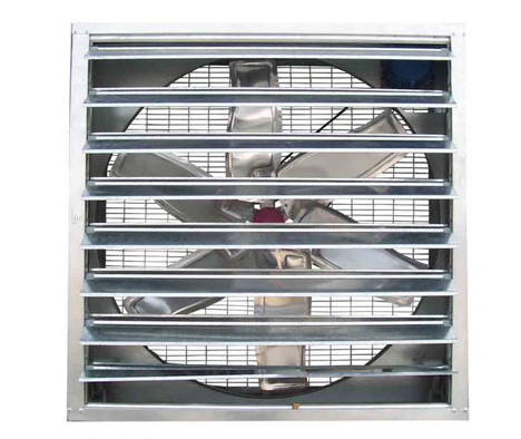 怎样确保蛋鸡装备有用透风？？？？