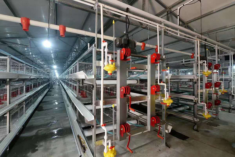 肉鸡装备喂料机为什么会梗塞？？？？？？