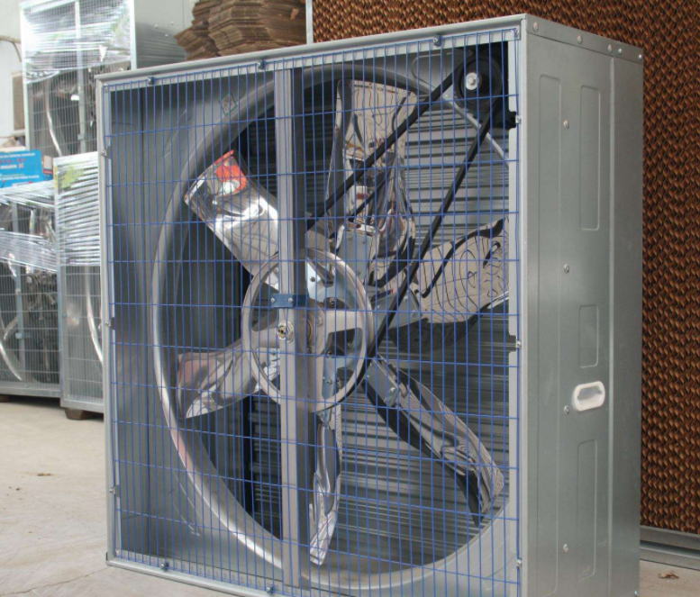 你知道怎样装置肉鸡装备风机水帘更耐用吗？？？