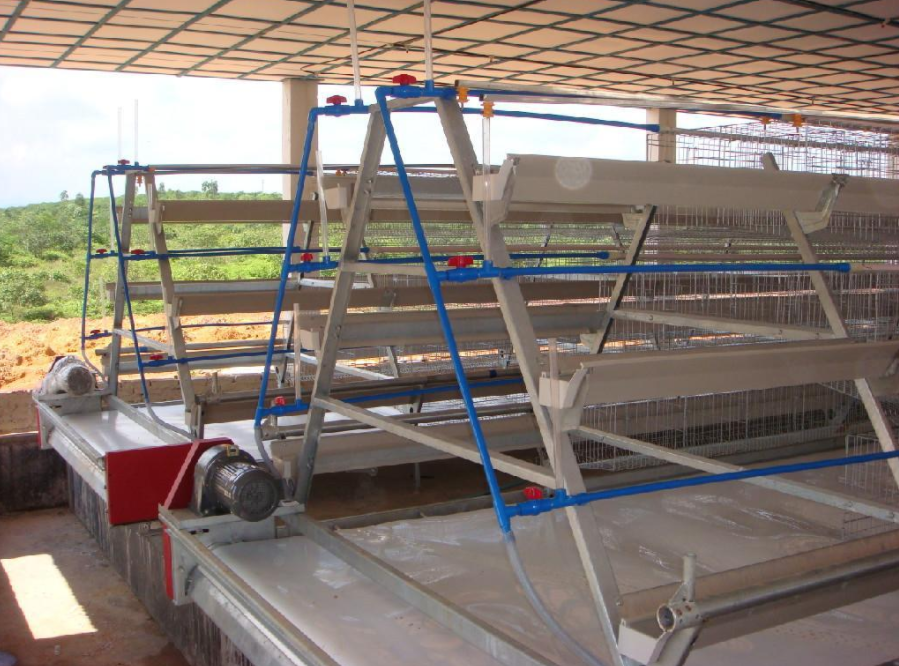 磨练全自动养鸡装备的清静有什么需要注重的事项吗？？