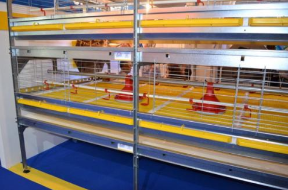 怎样给肉鸡装备风机镌汰噪音吗？？