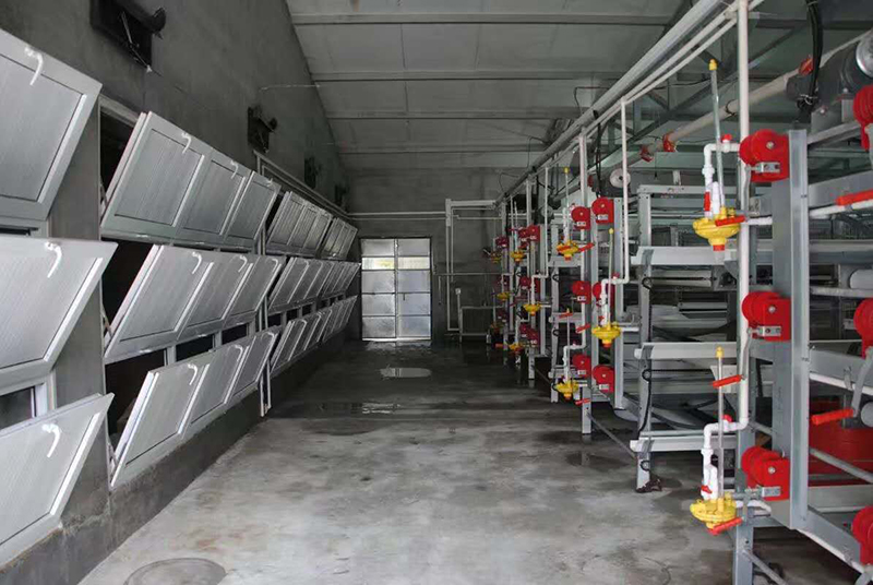 怎样治理肉鸡养殖场的肉鸡装备？？？？？？