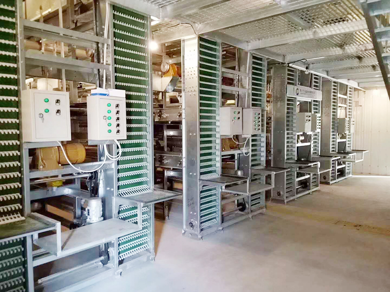 蛋鸡装备的养殖密度是怎样的呢？？？？